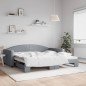 vidaXL Divano Letto con Letto Estraibile Grigio Chiaro 100x200 Tessuto vidaXL Divano Letto con Letto Estraibile Grigio Chiaro 100x200 Tessuto