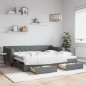 vidaXL Divano Letto Estraibile Cassetti Grigio Scuro 90x200cm Tessuto vidaXL Divano Letto Estraibile Cassetti Grigio Scuro 90x200cm Tessuto