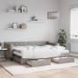 vidaXL Divano Letto Estraibile con Cassetti Tortora 80x200 cm Tessuto vidaXL Divano Letto Estraibile con Cassetti Tortora 80x200 cm Tessuto