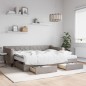 vidaXL Divano Letto Estraibile con Cassetti Tortora 90x200 cm Tessuto vidaXL Divano Letto Estraibile con Cassetti Tortora 90x200 cm Tessuto
