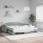 vidaXL Divano Letto con Letto Estraibile Grigio Chiaro 100x200 Velluto vidaXL Divano Letto con Letto Estraibile Grigio Chiaro 100x200 Velluto