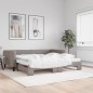 vidaXL Divano Letto Estraibile con Materassi Tortora 100x200cm Tessuto vidaXL Divano Letto Estraibile con Materassi Tortora 100x200cm Tessuto