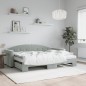 vidaXL Divano Letto Estraibile Materassi Grigio Chiaro 80x200 Velluto vidaXL Divano Letto Estraibile Materassi Grigio Chiaro 80x200 Velluto