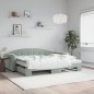 vidaXL Divano Letto Estraibile Materassi Grigio Chiaro 90x190 Velluto