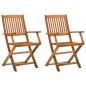 Sedie da Giardino Pieghevoli 2 pz in Legno Massello d'Acacia Sedie da Giardino Pieghevoli 2 pz in Legno Massello d'Acacia