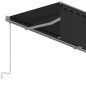 Tenda da Sole Retrattile Automatica con Parasole 4x3m Antracite Tenda da Sole Retrattile Automatica con Parasole 4x3m Antracite