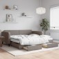 vidaXL Divano Letto Estraibile con Cassetti Tortora 100x200 cm Tessuto vidaXL Divano Letto Estraibile con Cassetti Tortora 100x200 cm Tessuto