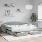 vidaXL Divano Letto Estraibile Cassetti Grigio Chiaro 80x200cm Velluto vidaXL Divano Letto Estraibile Cassetti Grigio Chiaro 80x200cm Velluto