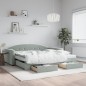 vidaXL Divano Letto Estraibile Cassetti Grigio Chiaro 100x200 Velluto vidaXL Divano Letto Estraibile Cassetti Grigio Chiaro 100x200 Velluto