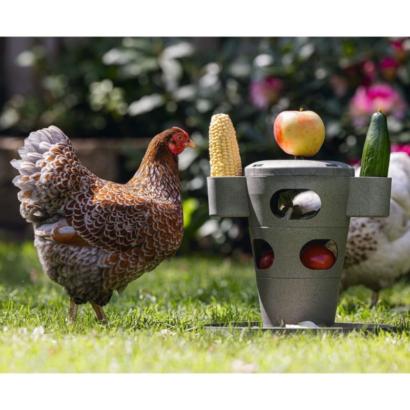 Beeztees Torre Snack per Polli 30x30x32,5 cm Grigio Beeztees Torre Snack per Polli 30x30x32,5 cm Grigio
