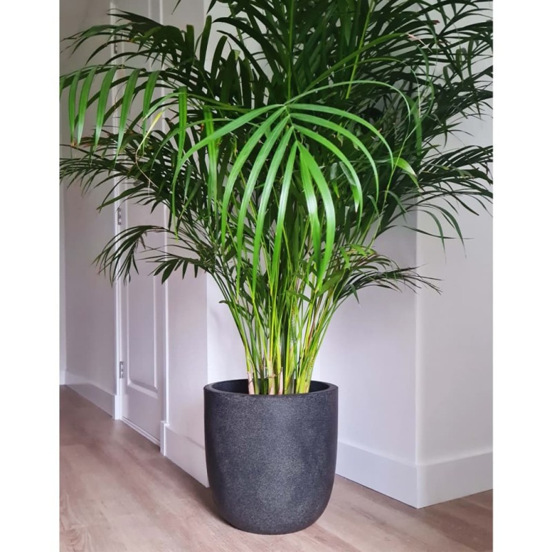 Capi Fioriera Rotonda Waste Smooth 35x34 cm Grigia Capi Fioriera Rotonda Waste Smooth 35x34 cm Grigia