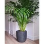 Capi Fioriera Rotonda Waste Smooth 35x34 cm Grigia Capi Fioriera Rotonda Waste Smooth 35x34 cm Grigia