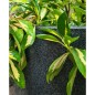 Capi Fioriera Rotonda Waste Smooth 35x34 cm Grigia Capi Fioriera Rotonda Waste Smooth 35x34 cm Grigia