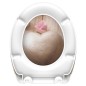 SCHÜTTE Tavoletta WC Duroplast Chiusura Ammortizzata ROMANTIC Stampato SCHÜTTE Tavoletta WC Duroplast Chiusura Ammortizzata ROMANTIC Stampato