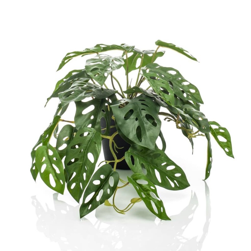 Emerald Cespuglio Artificiale di Monstera Adansonii 55 cm in Vaso Emerald Cespuglio Artificiale di Monstera Adansonii 55 cm in Vaso