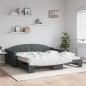 vidaXL Divano Letto con Letto Estraibile Grigio Scuro 100x200 Tessuto vidaXL Divano Letto con Letto Estraibile Grigio Scuro 100x200 Tessuto