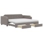 vidaXL Divano Letto Estraibile con Cassetti Tortora 100x200 cm Tessuto vidaXL Divano Letto Estraibile con Cassetti Tortora 100x200 cm Tessuto