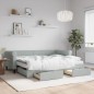vidaXL Divano Letto Estraibile Cassetti Grigio Chiaro 90x200cm Velluto vidaXL Divano Letto Estraibile Cassetti Grigio Chiaro 90x200cm Velluto