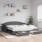 vidaXL Divano Letto Estraibile Cassetti Grigio Scuro 100x200cm Tessuto vidaXL Divano Letto Estraibile Cassetti Grigio Scuro 100x200cm Tessuto