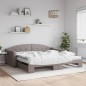 vidaXL Divano Letto Estraibile con Materassi Tortora 100x200cm Tessuto vidaXL Divano Letto Estraibile con Materassi Tortora 100x200cm Tessuto