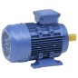 vidaXL Motore Elettrico Trifase in Alluminio 1,5kW/2HP 2 Poli 2840 RPM vidaXL Motore Elettrico Trifase in Alluminio 1,5kW/2HP 2 Poli 2840 RPM