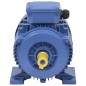 vidaXL Motore Elettrico Trifase in Alluminio 1,5kW/2HP 2 Poli 2840 RPM vidaXL Motore Elettrico Trifase in Alluminio 1,5kW/2HP 2 Poli 2840 RPM