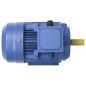 vidaXL Motore Elettrico Trifase in Alluminio 2,2kW/3HP 2 Poli 2840 RPM vidaXL Motore Elettrico Trifase in Alluminio 2,2kW/3HP 2 Poli 2840 RPM