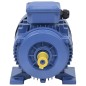 vidaXL Motore Elettrico Trifase in Alluminio 2,2kW/3HP 2 Poli 2840 RPM vidaXL Motore Elettrico Trifase in Alluminio 2,2kW/3HP 2 Poli 2840 RPM