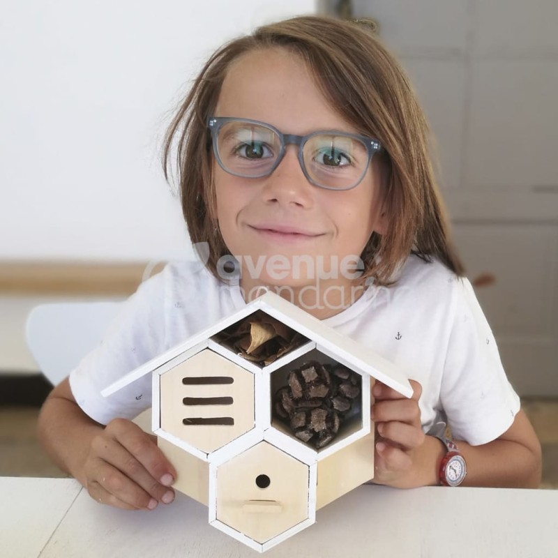 Avenue Mandarine Cofanetto Creativo Bug House to Build Avenue Mandarine Cofanetto Creativo Bug House to Build