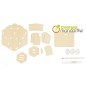 Avenue Mandarine Cofanetto Creativo Bug House to Build Avenue Mandarine Cofanetto Creativo Bug House to Build
