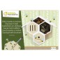 Avenue Mandarine Cofanetto Creativo Bug House to Build Avenue Mandarine Cofanetto Creativo Bug House to Build
