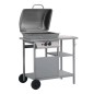 vidaXL Barbecue e Griglia a Gas con 3 Ripiani e Tavolinetto Argento vidaXL Barbecue e Griglia a Gas con 3 Ripiani e Tavolinetto Argento