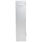 vidaXL Forno Affumicatore Trucioli Legno 44,5x29x110cm in Acciaio Inox vidaXL Forno Affumicatore Trucioli Legno 44,5x29x110cm in Acciaio Inox