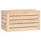 vidaXL Contenitore Portaoggetti 59,5x36,5x33 cm Legno Massello Pino vidaXL Contenitore Portaoggetti 59,5x36,5x33 cm Legno Massello Pino