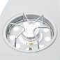 vidaXL Barbecue e Griglia a Gas 4+1 Fornelli Argento in Acciaio Inox vidaXL Barbecue e Griglia a Gas 4+1 Fornelli Argento in Acciaio Inox