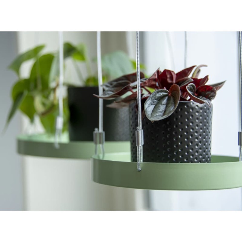 Esschert Design Vassoio Sospeso per Piante Rotondo Verde S Esschert Design Vassoio Sospeso per Piante Rotondo Verde S