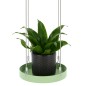 Esschert Design Vassoio Sospeso per Piante Rotondo Verde S Esschert Design Vassoio Sospeso per Piante Rotondo Verde S