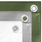 vidaXL Telone 260 g/m² 8x10 m Verde HDPE vidaXL Telone 260 g/m² 8x10 m Verde HDPE
