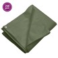 vidaXL Telone 260 g/m² 6x6 m Verde HDPE vidaXL Telone 260 g/m² 6x6 m Verde HDPE