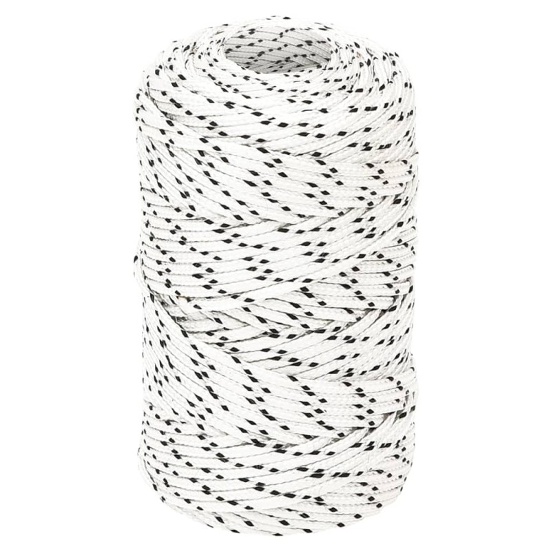 Corda Intrecciata per Barca Bianca 2mm x 100m Poliestere Corda Intrecciata per Barca Bianca 2mm x 100m Poliestere