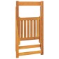 vidaXL Sedie da Giardino Pieghevoli 4 pz in Legno Massello di Acacia vidaXL Sedie da Giardino Pieghevoli 4 pz in Legno Massello di Acacia