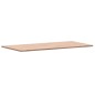 vidaXL Piano Bagno 80x40x1,5 cm Legno Massello di Faggio