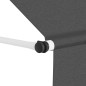 vidaXL Tenda da Sole Retrattile Manuale 200 cm Antracite vidaXL Tenda da Sole Retrattile Manuale 200 cm Antracite