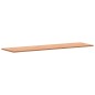 vidaXL Piano per Banco da Lavoro 200x55x2,5 cm Legno Massello Faggio vidaXL Piano per Banco da Lavoro 200x55x2,5 cm Legno Massello Faggio