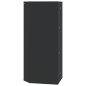 vidaXL Armadietto Angolare con Specchio da Bagno Nero 30x24x60 cm
