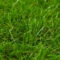 Prato Artificiale 0,5x5 m/40 mm Verde Prato Artificiale 0,5x5 m/40 mm Verde