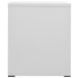 Schedario Grigio Chiaro 46x62x72,5 cm in Acciaio Schedario Grigio Chiaro 46x62x72,5 cm in Acciaio