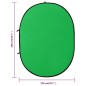 Fondale Ovale 2 in 1 Studio Fotografico Verde e Blu 200x150 cm Fondale Ovale 2 in 1 Studio Fotografico Verde e Blu 200x150 cm