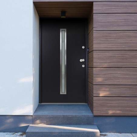 Porta Ingresso in Alluminio Antracite 90x200 cm