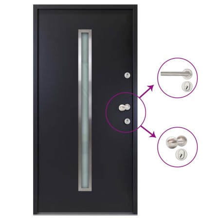 Porta Ingresso in Alluminio Antracite 90x200 cm